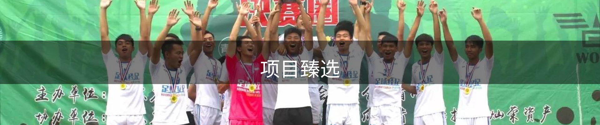 项目臻选